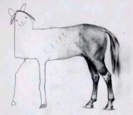 pencil drawing of a horse. back of horse is drawn very well. the front is terrible.